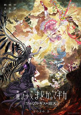 看过魔法少女小圆