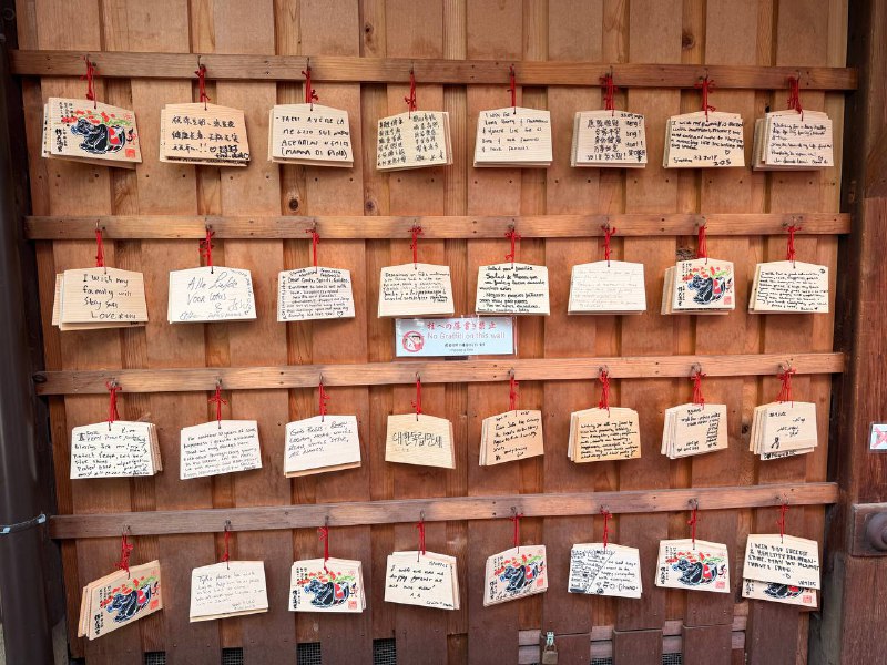 D3 锦市场 - 新京极 - 八坂神社这天让 Gemini 特地优化了一下行程后，节奏好了不少（而且总算是可以 11 点再出发了）