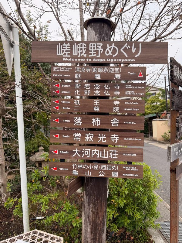 D5 岚山苔藓 - 竹林最最开始这是想坐深夜巴士到东京的，但最后还是不折腾了，来了龟冈这边的酒店住一晚